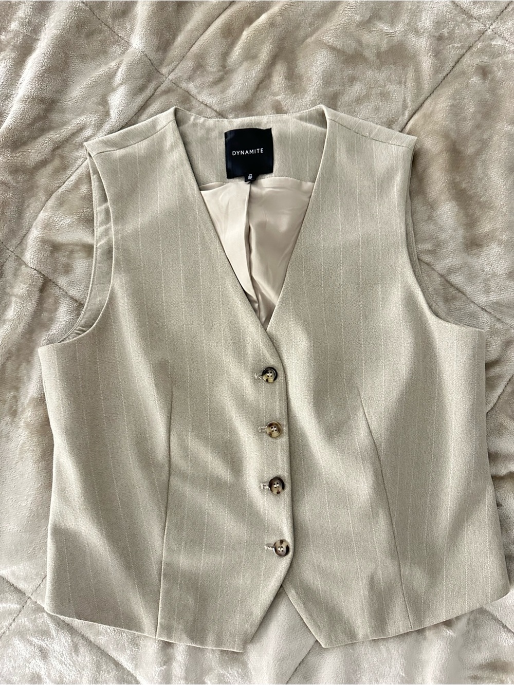 Dynamite Light Cream Pinstripe Button Vest